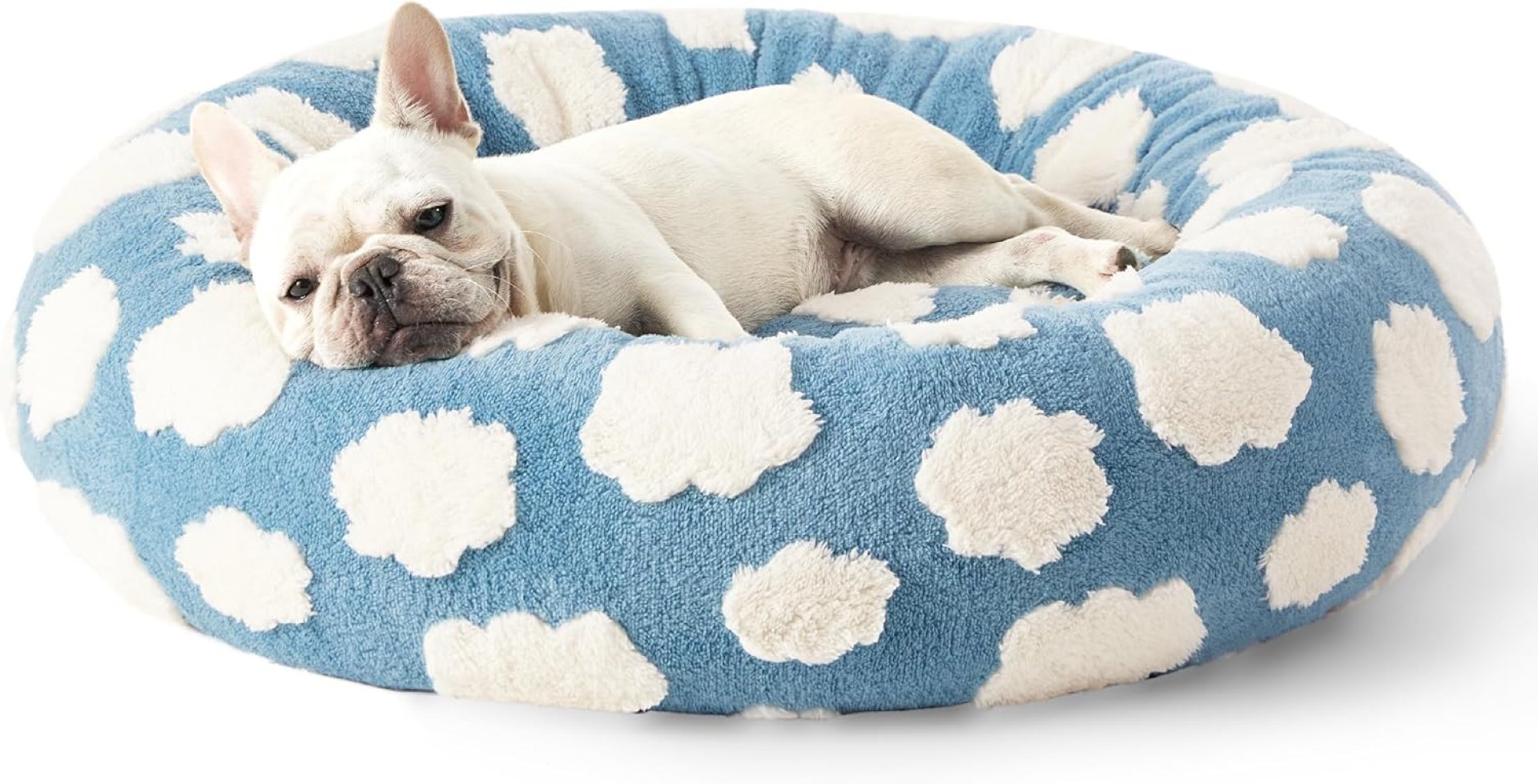 LE SURE Donut Small Canine Mattress – Spherical Cat Beds for Indoor Cats Calming Pet Beds, Cute Fashionable Beds with Jacquard Shaggy Plush & Anti Slip Backside, 30 Inch, Blue,M (30x30x8) LE SURE Donut Small Canine Mattress – Spherical Cat Beds for Indoor Cats Calming Pet Beds, Cute Fashionable Beds with Jacquard Shaggy Plush & Anti Slip Backside, 30 Inch, Blue,M (30x30x8)