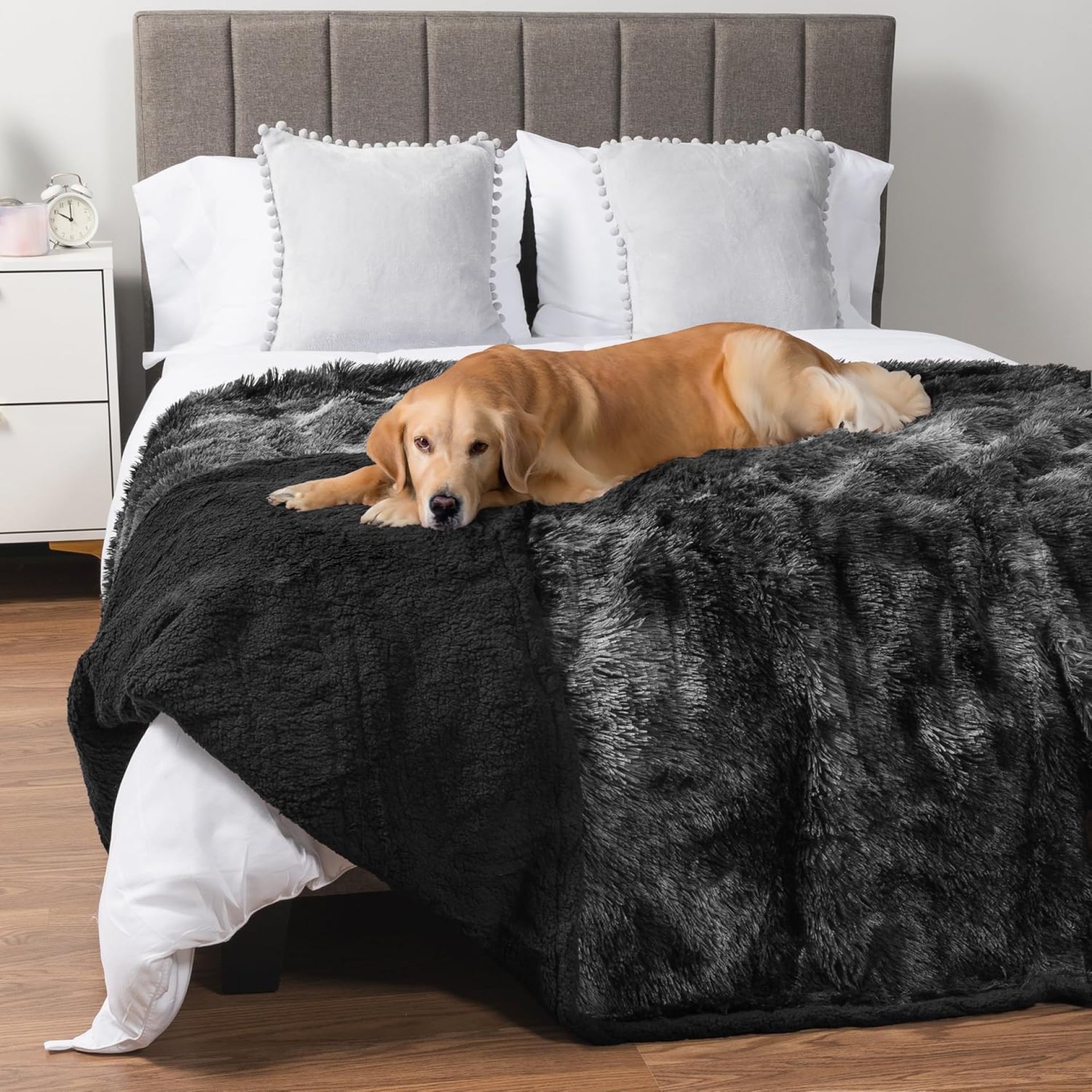 PetAmi Waterproof Canine Blanket for Giant Canine, Calming Pet Blanket Mattress Sofa Cowl Protector, Washable Sherpa Fake Fur Throw for Couch Furnishings Safety, Gentle Fluffy 60×80 Tie-Dye Black PetAmi Waterproof Canine Blanket for Giant Canine, Calming Pet Blanket Mattress Sofa Cowl Protector, Washable Sherpa Fake Fur Throw for Couch Furnishings Safety, Gentle Fluffy 60×80 Tie-Dye Black