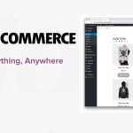 10 razões para usar o WooCommerce para o seu desenvolvimento de lojas de comércio eletrônico 10 razões para usar o WooCommerce para o seu desenvolvimento de lojas de comércio eletrônico