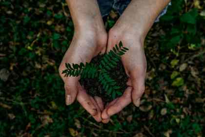 Prateleira para o solo – como os jogos de tabuleiro estão ficando mais verdes (discussão de tópicos) Prateleira para o solo – como os jogos de tabuleiro estão ficando mais verdes (discussão de tópicos)
