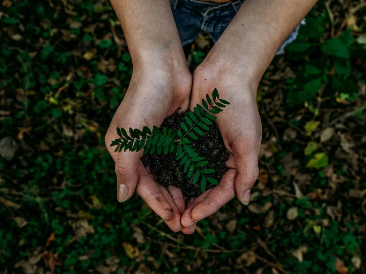 Prateleira para o solo – como os jogos de tabuleiro estão ficando mais verdes (discussão de tópicos) Prateleira para o solo – como os jogos de tabuleiro estão ficando mais verdes (discussão de tópicos)