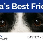 Demos de aplicativos, inteligência artificial e algumas surpresas Demos de aplicativos, inteligência artificial e algumas surpresas