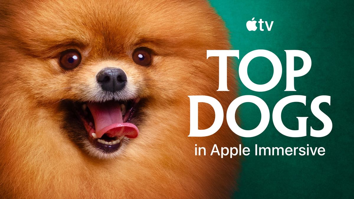 Top Dogs da Apple Immersive aproxima você dos campeões Top Dogs da Apple Immersive aproxima você dos campeões