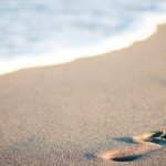 Sands of Maui: Edição #194 Sands of Maui: Edição #194