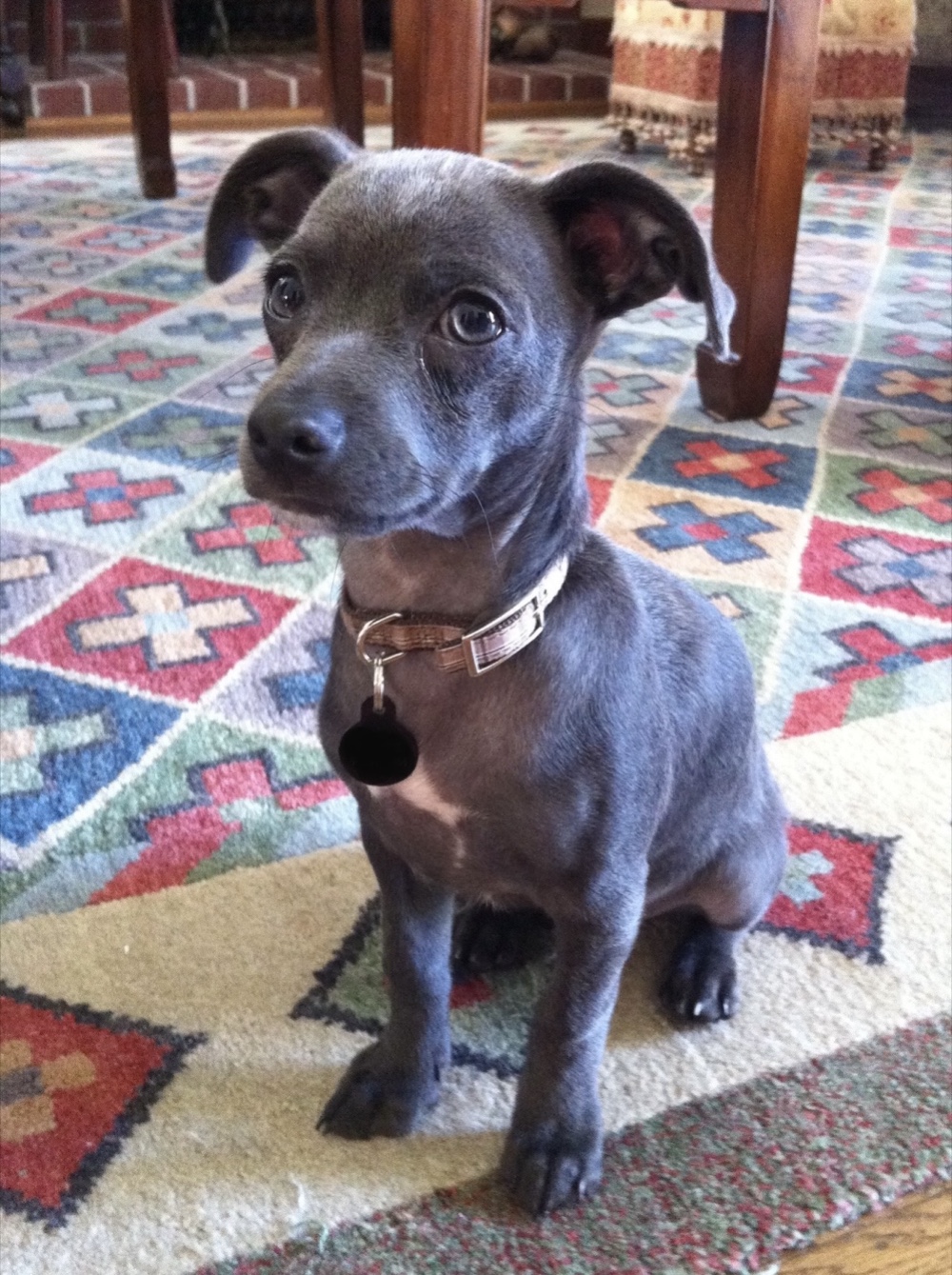 Nomes do Pico • furbo.org Nomes do Pico • furbo.org