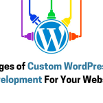 Vantagens do desenvolvimento de plug -in personalizado do WordPress para o seu site | por Jignesh Thanki Vantagens do desenvolvimento de plug -in personalizado do WordPress para o seu site | por Jignesh Thanki