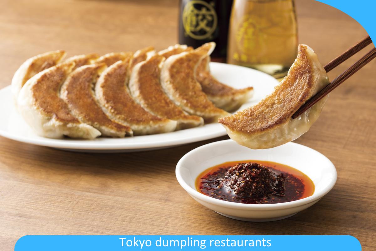 Tokyo Dumpling Restaurant Delights: Savoring the Essence of Japan’s Culinary Artistry Tokyo Dumpling Restaurant Delights: Savoring the Essence of Japan’s Culinary Artistry