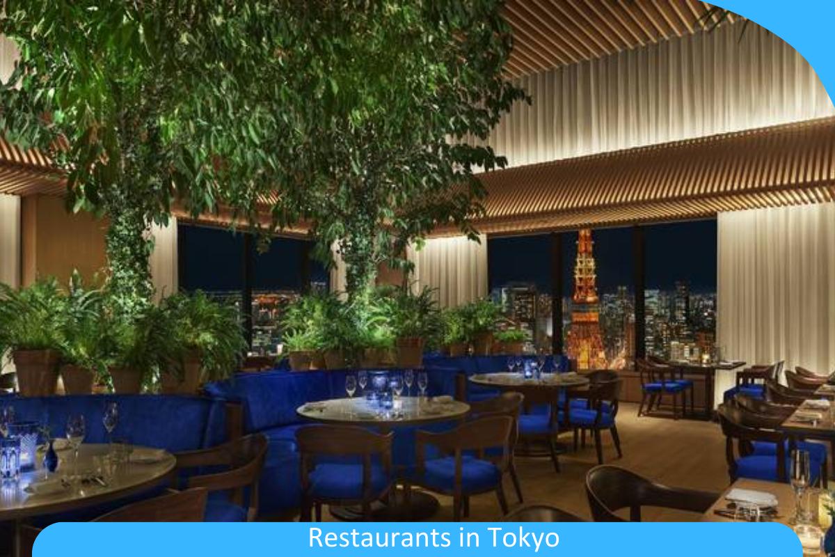 Tokyo Taste Odyssey: Culinary Journeys through the City’s Vibrant Restaurants Tokyo Taste Odyssey: Culinary Journeys through the City’s Vibrant Restaurants