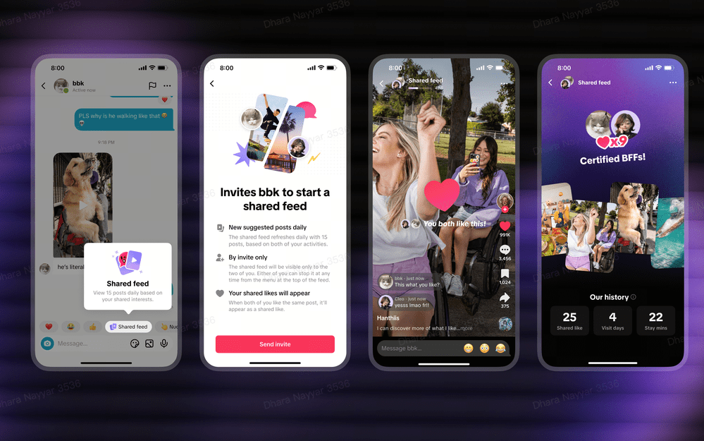 TikTok announces shared feed and collections features TikTok announces shared feed and collections features