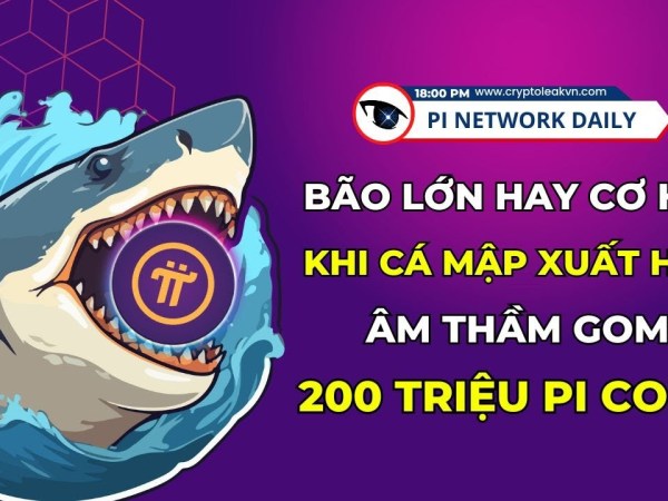 Lộ Diện Nhà Cái Âm Thầm Gom 200 Triệu Pi Coin Lộ Diện Nhà Cái Âm Thầm Gom 200 Triệu Pi Coin