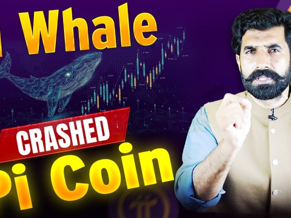 Pi Whale Crash the Pi Coin | Pi Network Price Update | Pi Coin Price Update | Pi News | albarizone Pi Whale Crash the Pi Coin | Pi Network Price Update | Pi Coin Price Update | Pi News | albarizone