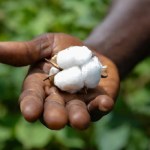 OVS companions with CmiA to spice up traceability in textile provide chain OVS companions with CmiA to spice up traceability in textile provide chain