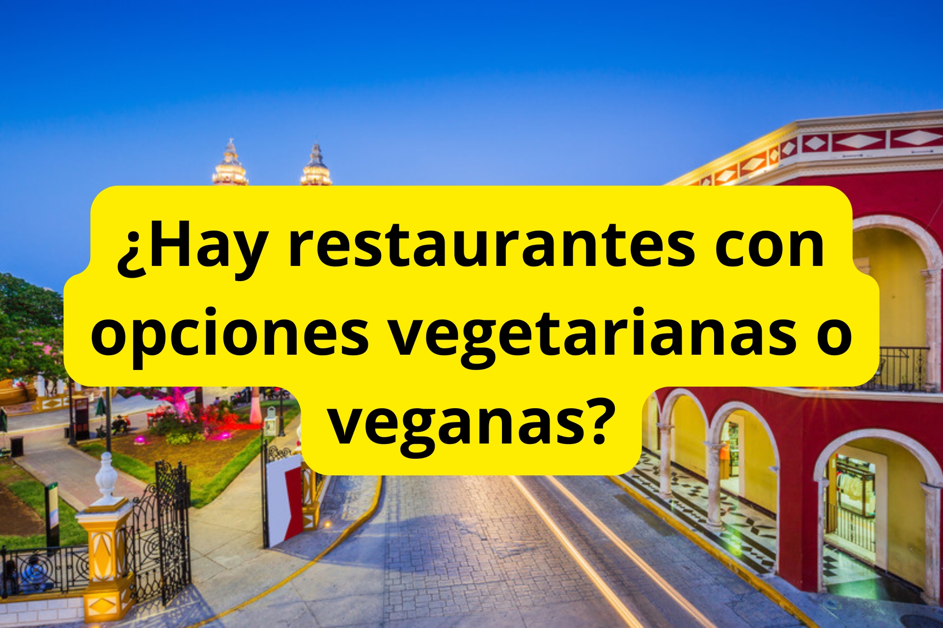¿Hay restaurantes con opciones vegetarianas o veganas? ¿Hay restaurantes con opciones vegetarianas o veganas?