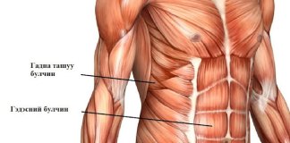 Гэдэсний булчин чангаруулах шилдэг дасгал Гэдэсний булчин чангаруулах шилдэг дасгал