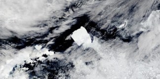 Дэлхийн хамгийн том мөсөн уул эргэж хөдлөв Дэлхийн хамгийн том мөсөн уул эргэж хөдлөв