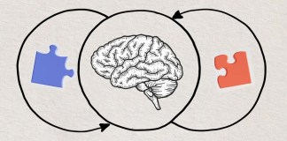 Ямар ч чадварыг хурдан эзэмших 8 арга Ямар ч чадварыг хурдан эзэмших 8 арга