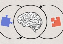 Ямар ч чадварыг хурдан эзэмших 8 арга Ямар ч чадварыг хурдан эзэмших 8 арга