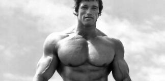 Арнолдын амжилтад хүрсэн 6 дүрэм Арнолдын амжилтад хүрсэн 6 дүрэм