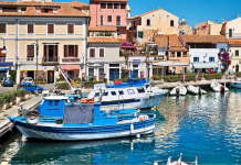 Дэлхийн хамгийн урт насалсан хүмүүс өдөр бүр энэ хоолыг иддэг байсан Дэлхийн хамгийн урт насалсан хүмүүс өдөр бүр энэ хоолыг иддэг байсан