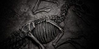 Галт уулууд үлэг гүрвэлүүдийг устгасан гэх онол албан ёсоор устлаа Галт уулууд үлэг гүрвэлүүдийг устгасан гэх онол албан ёсоор устлаа