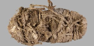 Испанид тас шувууны үүрнээс 750 жилийн настай өвсөн гутал олджээ Испанид тас шувууны үүрнээс 750 жилийн настай өвсөн гутал олджээ