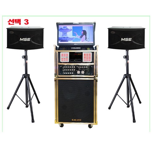 금영/태진 이동식 노래방 기계 업소용 가정용 노래방 기기, 선택3, 무선마이크 (유선 마이크 포함)
