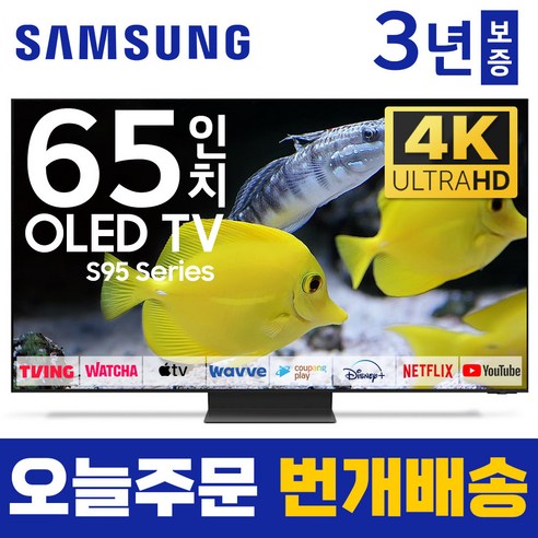 삼성 2023년형 65인치 TV 163cm OLED 4K UHD 65S95 스마트 티비, 4.지방권스탠드