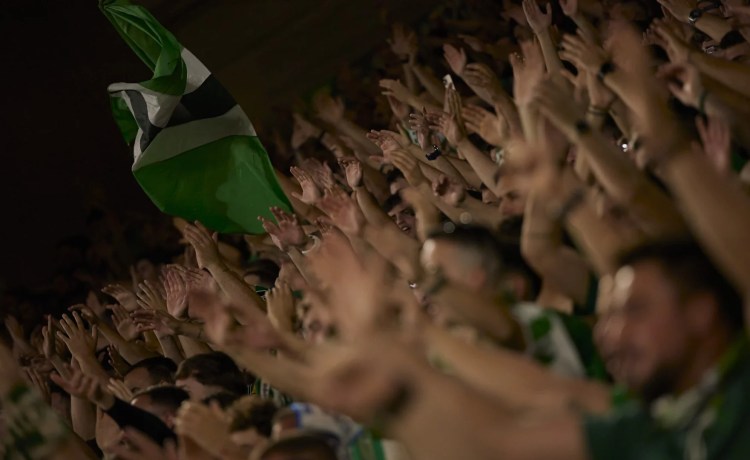 El Real Betis cierra el periodo de renovaciones con 49.737 abonados El Real Betis cierra el periodo de renovaciones con 49.737 abonados