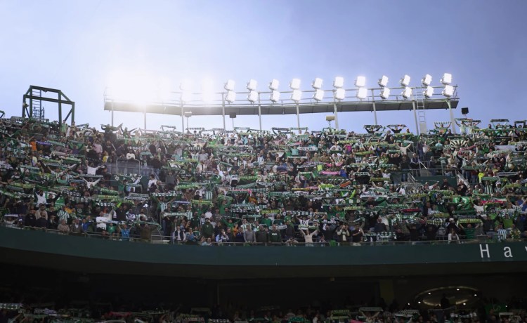 El Real Betis cierra el plazo de altas para las categorías ‘Palmerín y ‘Soy Bético’ El Real Betis cierra el plazo de altas para las categorías ‘Palmerín y ‘Soy Bético’