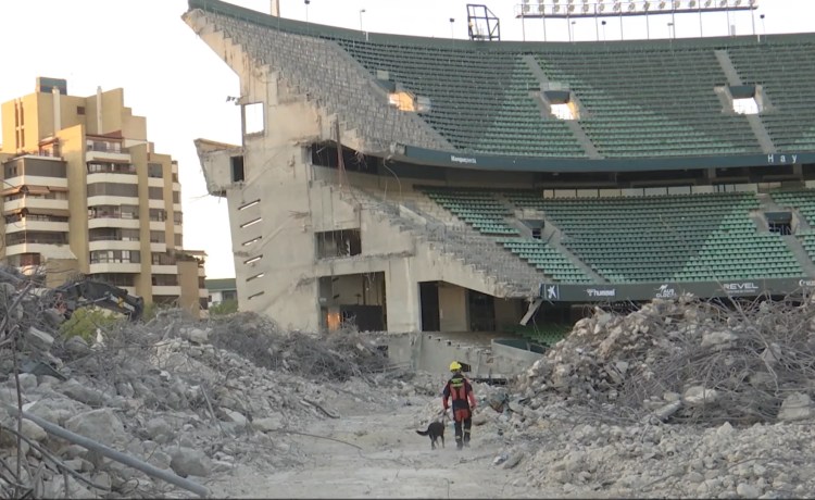 Los Bomberos de Sevilla entrenan en el Benito Villamarín con su Unidad Canina Los Bomberos de Sevilla entrenan en el Benito Villamarín con su Unidad Canina