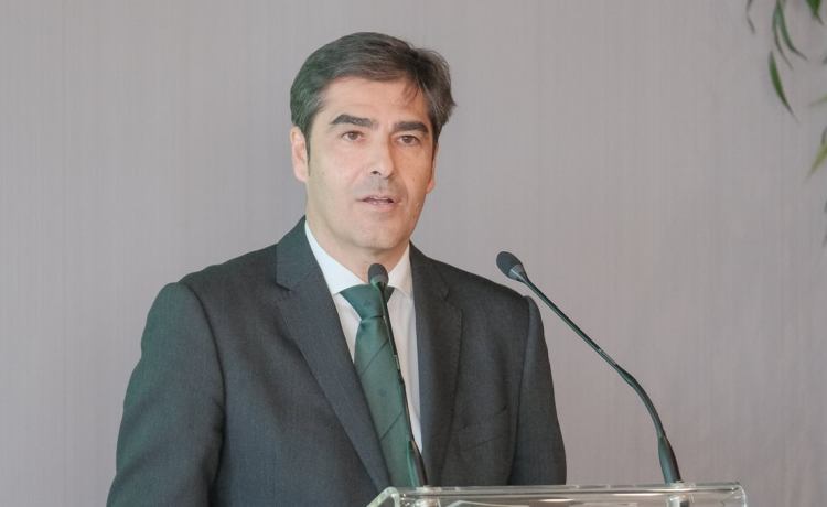 Ángel Haro matiza su ‘recado’ a Pellegrini y traza las metas del Betis Ángel Haro matiza su ‘recado’ a Pellegrini y traza las metas del Betis