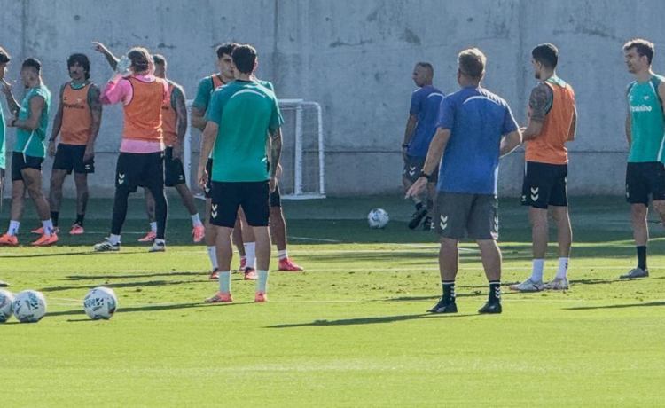 Baja de Fornals, dos regresos a medias confirmados en el Betis y charla llamativa entre Fajardo y Pellegrini Baja de Fornals, dos regresos a medias confirmados en el Betis y charla llamativa entre Fajardo y Pellegrini