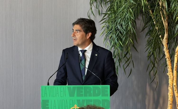 Así está la situación económica del Real Betis Así está la situación económica del Real Betis
