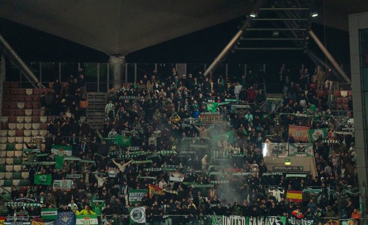 Despertar en Mallorca puede impulsar la mayor ‘marea verde’ en Europa Despertar en Mallorca puede impulsar la mayor ‘marea verde’ en Europa