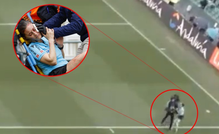 Sale a la luz el momento en el que una cámara de televisión arrolla a Guadalupe Porras Sale a la luz el momento en el que una cámara de televisión arrolla a Guadalupe Porras