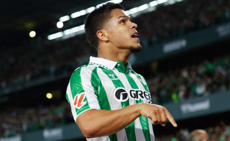El Betis ya rentabiliza el fichaje del Cucho Hernández: pleno de triunfos y golazo en el derbi El Betis ya rentabiliza el fichaje del Cucho Hernández: pleno de triunfos y golazo en el derbi