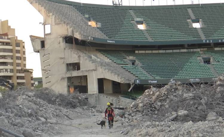 Los Bomberos de Sevilla entrenan en el Villamarín con su Unidad Canina Los Bomberos de Sevilla entrenan en el Villamarín con su Unidad Canina