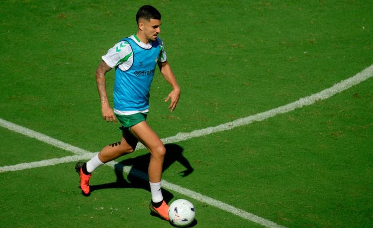 Dani Ceballos amplía a 13 las ausencias de Pellegrini para preparar el Betis – Ceuta de este jueves Dani Ceballos amplía a 13 las ausencias de Pellegrini para preparar el Betis – Ceuta de este jueves