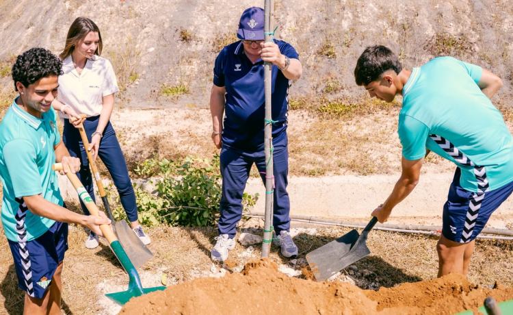 Nueva plantación de árboles en la Ciudad Deportiva Rafael Gordillo Nueva plantación de árboles en la Ciudad Deportiva Rafael Gordillo