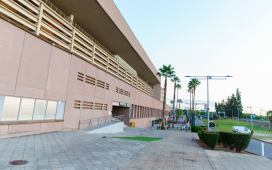 Los dos gestos del Betis con su gente: la nueva OAB física y la fiesta de fin de curso Los dos gestos del Betis con su gente: la nueva OAB física y la fiesta de fin de curso
