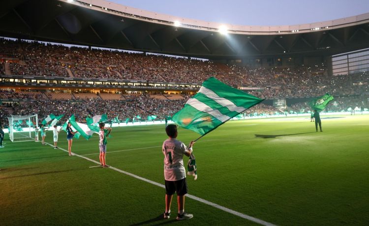 La Cartuja se viste de verdiblanco La Cartuja se viste de verdiblanco