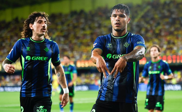 Cucho protege su sitio Cucho protege su sitio