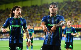 Cucho protege su sitio Cucho protege su sitio