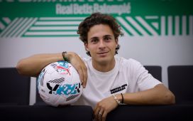 Un nuevo Roro Un nuevo Roro