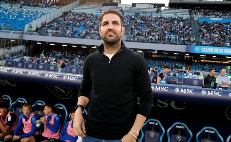 Cesc medirá el progreso del Betis Cesc medirá el progreso del Betis