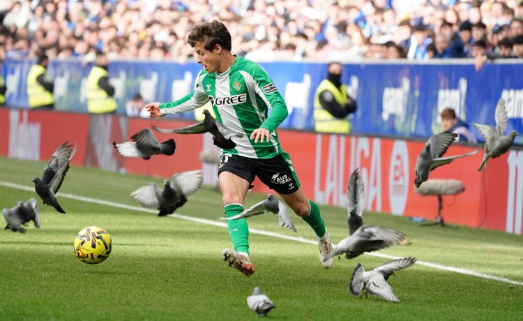 Riquelme se desinfla en el Betis Riquelme se desinfla en el Betis