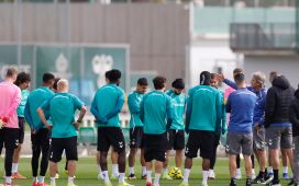 Pellegrini, obligado a menear el árbol Pellegrini, obligado a menear el árbol