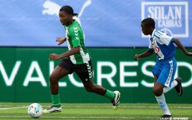 El muro verde y blanco que llegó de Camerún El muro verde y blanco que llegó de Camerún