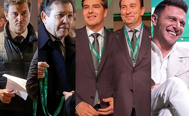 El nuevo mapa accionarial del Betis: Haro y Catalán refuerzan su posición El nuevo mapa accionarial del Betis: Haro y Catalán refuerzan su posición