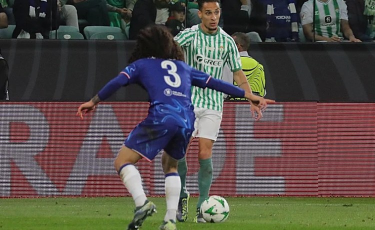 Más de 17 millones de euros para el Betis por ser subcampeón de la Conference Más de 17 millones de euros para el Betis por ser subcampeón de la Conference